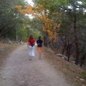 Meet your Posher, Molly